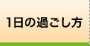 一日の過ごし方